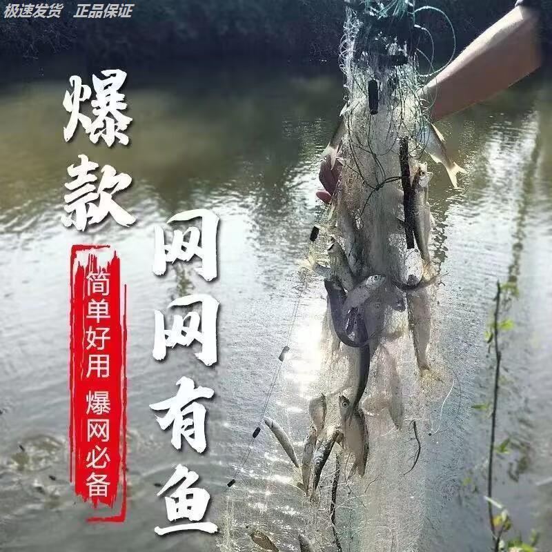渔网粘白条餐专用小鱼丝三层单层