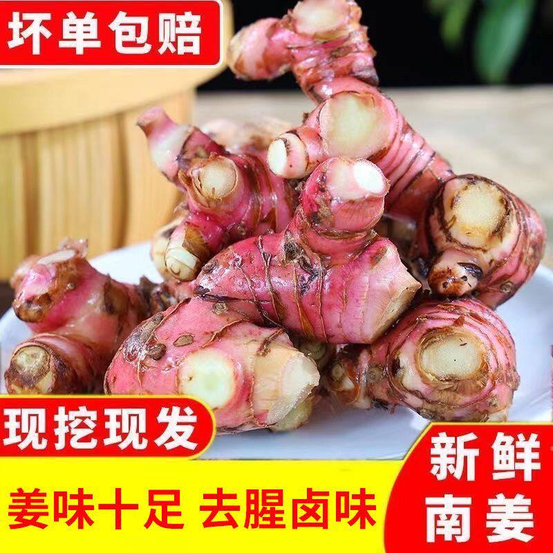 正宗红皮潮汕老南南姜野生卤味精选提味红皮洋姜南姜新鲜山姜批发