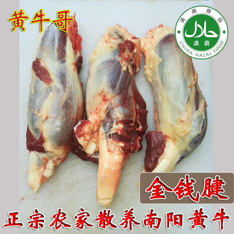 正宗农家散养南阳黄牛肉新鲜牛腱子金钱腱金钱展梅花腱清真3斤装