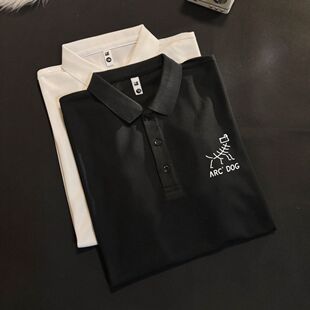 夏季简约穿搭短袖polo衫撞接修身百搭运动高级感轻熟风翻领半袖男