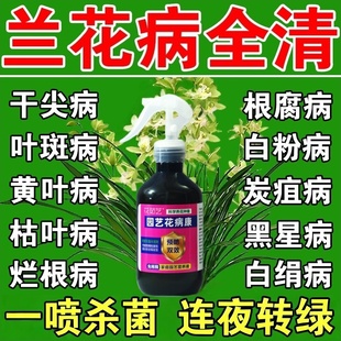兰花专用杀菌药治黑斑病专用叶子发黄叶焦尖根腐杀菌叶康灵营养液
