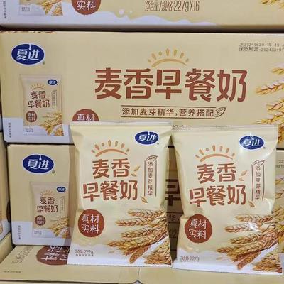 【新日期】夏进麦香早餐奶 清真 纸袋装 整箱227g*16袋 正品保证