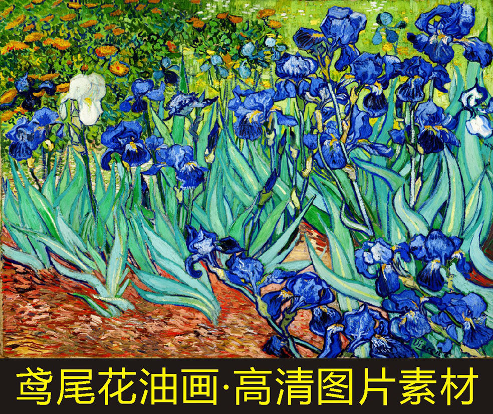 高清鸢尾花盛开的原野油画梵高名人装饰画jpg格式tif电子图片素材