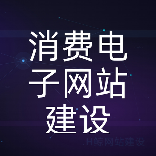 WordPress消费电子网站响应式C数码外贸独立站建站