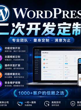 wordpress外贸网站二次开发定制优化跨境独立站英文主题插件修改