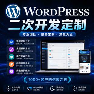 wordpress外贸网站二次开发定制优化跨境独立站英文主题插件修改