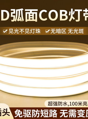 COB灯带led灯条客厅吊顶220v自粘高压超亮线形灯槽户外防水软灯条