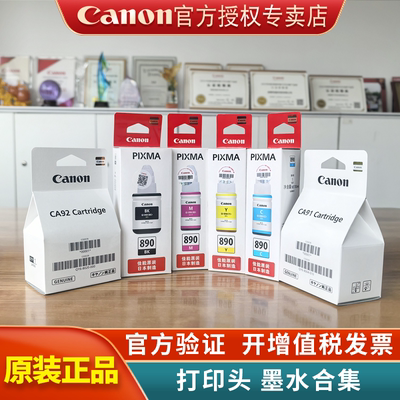 佳能GI-890墨水80048020打印头