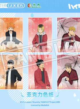 现货 LOFTER 排球少年 等天晴 亚克力色纸摆件 日向影山