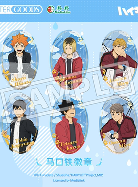 现货 LOFTER 排球少年 等天晴 双闪烫金徽章吧唧 日向影山