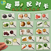 幼儿园益智区蔬菜配对早教儿童学习认知卡片区域区角材料教具投放