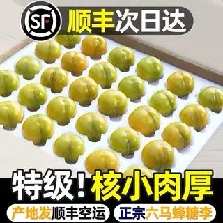 六马蜂糖李新鲜特级核小肉厚礼盒包装【2026年当季新品顺丰空运】