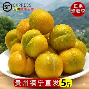 贵州特产正宗六马蜂糖李镇宁直发新鲜【2026年当季新品顺丰空运】