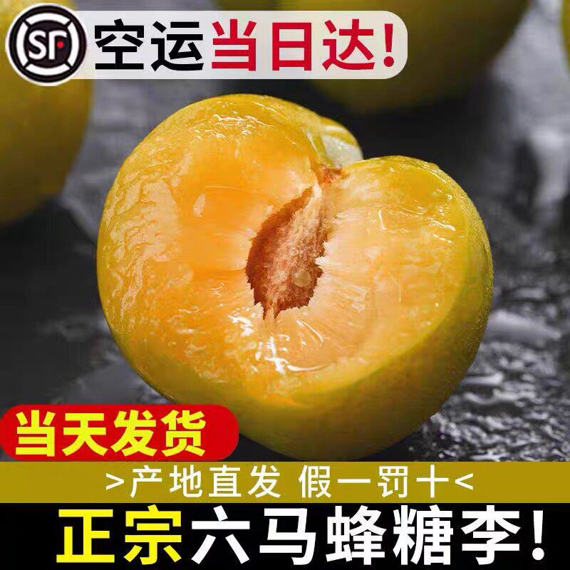 正宗六马蜂糖李贵州脱骨李新鲜水果【2026年当季新品顺丰空运】
