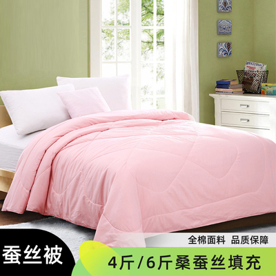 2024款蚕丝被冬被全棉桑蚕丝被纯棉双人春秋被子保暖加厚冬季被芯