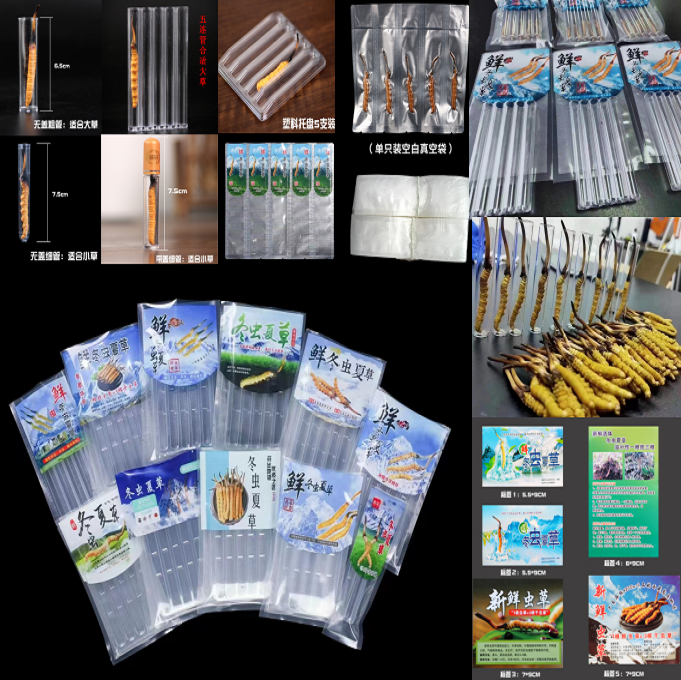 新鲜冬虫夏草包装盒真空保鲜袋虫草托盘瓶装单根试管礼品盒管子,包装,礼品袋/塑料袋,淘宝优惠券,粉丝福利购,淘宝优惠卷