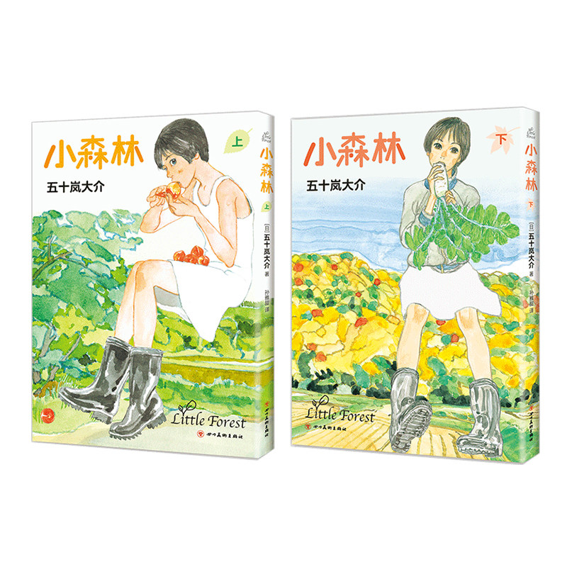正版 小森林 豆瓣年度榜单top高分电影《小森林》原著漫画 温暖在冰冷