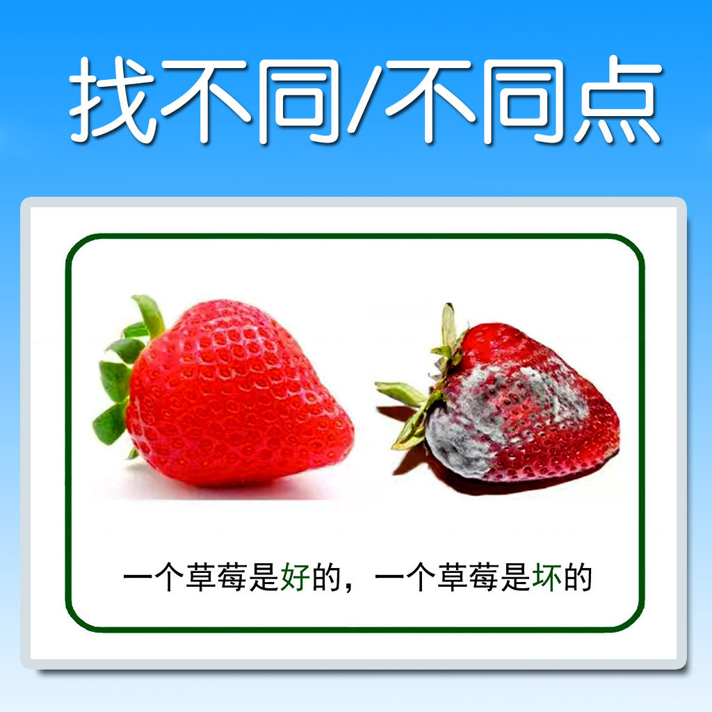 宝宝视觉观察找不同点 哪里不一样 找共同点儿童思维训练教具封塑,玩具/童车/益智/积木/模型,玩具挂图/认知卡,淘宝优惠券,粉丝福利购,淘宝优惠卷