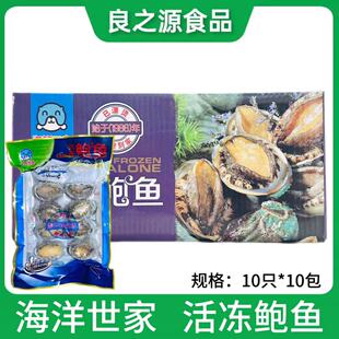 开袋即用酒店宴席年夜饭海鲜蒸鲍鱼 活冻鲍鱼去脏去齿100只10包