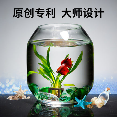 爱悦宝桌面玻璃斗鱼缸鱼