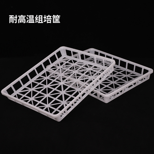 组培筐高温食用菌灭菌筐组培室专用筐土豆框高温筐食用菌周转筐