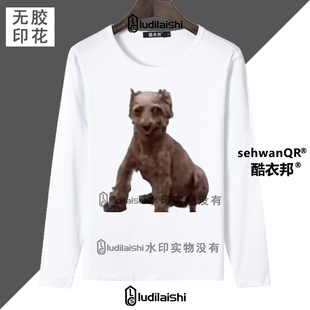 春秋新款男女长袖上衣恶搞搞笑抽象小狗邪恶摇粒绒外教表情包T恤