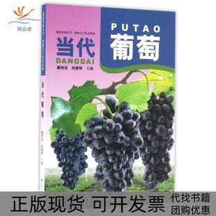 【正版书包邮】当代葡萄果树生产技术系列家庭农场丛书蒯传化刘崇怀中原农民