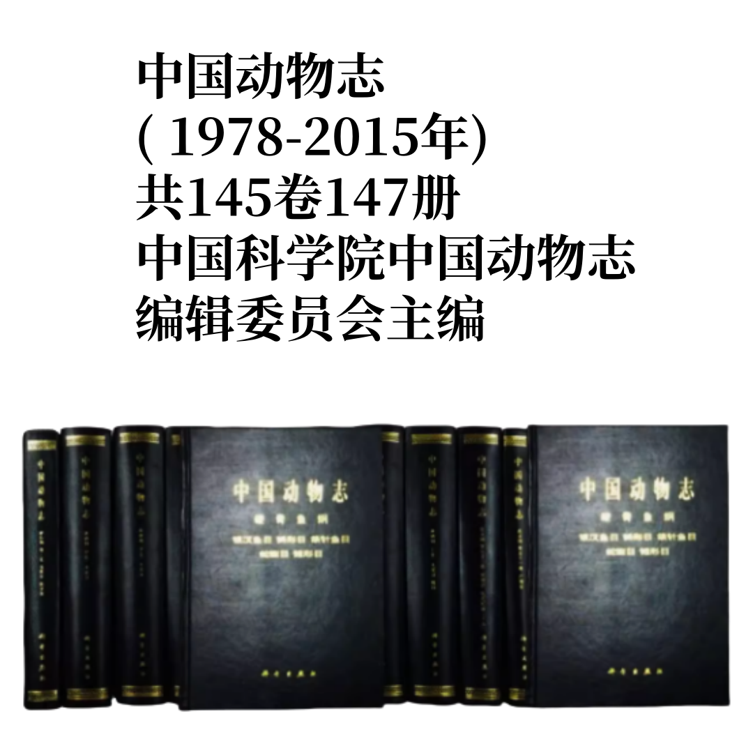 正版图书 中国动物志（1978-2015年,145卷147册）昆虫纲 无脊椎动物 扁门动物 节肢动物 软体动物门 鸟纲 硬骨鱼纲