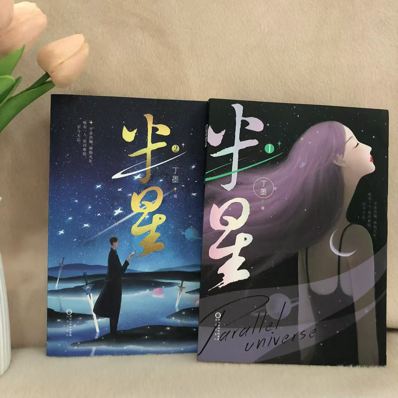 半星丁墨青春文学都市情感言情