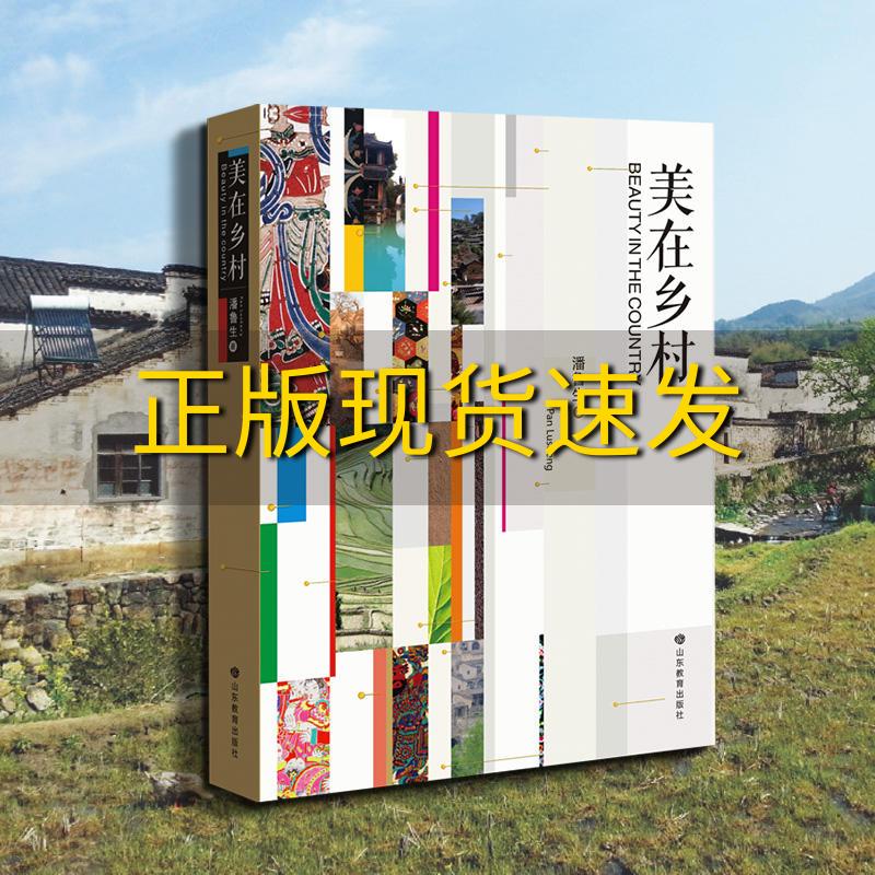 【正版书包邮】美在乡村潘鲁生山东教育出版社