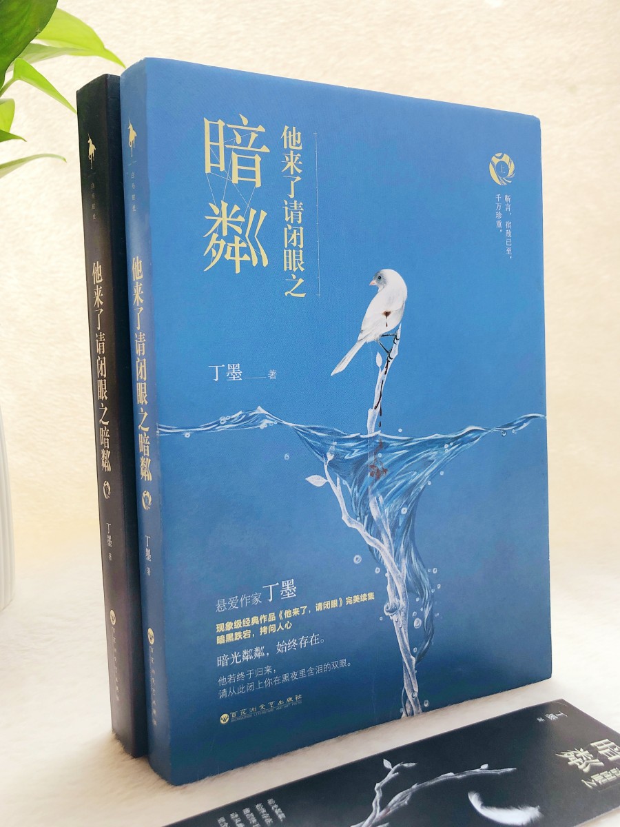 他来了请闭眼之暗粼上下2册丁墨百花洲文艺出版社【正版书籍】