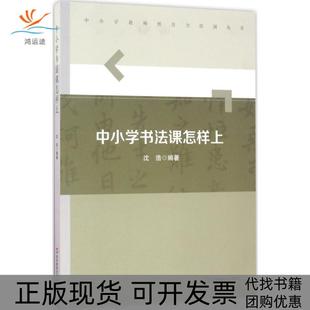 【正版书包邮】中小学书法课怎样上沈浩华东师范大学出版社