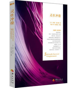 正版现货灵性冲撞 [美]杰德·麦肯纳著 鲁宓译 华夏出版社 9787508081137