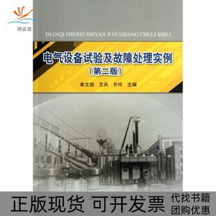 【正版书包邮】电气设备试验及故障处理实例第2版单文培王兵齐玲中国水利水电
