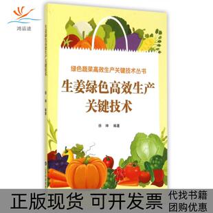 生姜绿色生产关键技术绿色蔬菜生产关键技术丛书徐坤 包邮 书 总陈运起山东科技 正版