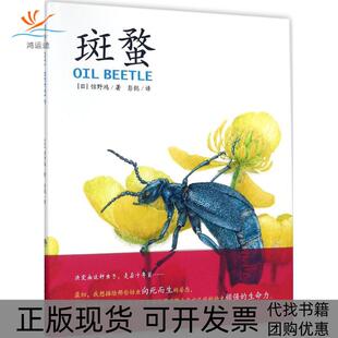 【正版书包邮】斑蝥馆野鸿上海文化出版社