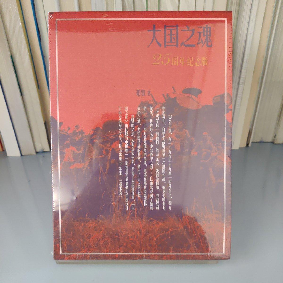 正版现货大国之魂 邓贤著 人民文学出版社9787020108213