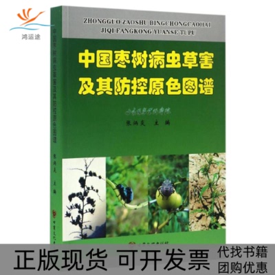 【正版书包邮】中国枣树病虫草害及其防控原色图谱张炳炎甘肃文化出版社