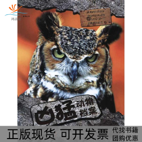 【正版书包邮】凶猛动物案英ticktock出版社鲁秀红吉林美术出版社