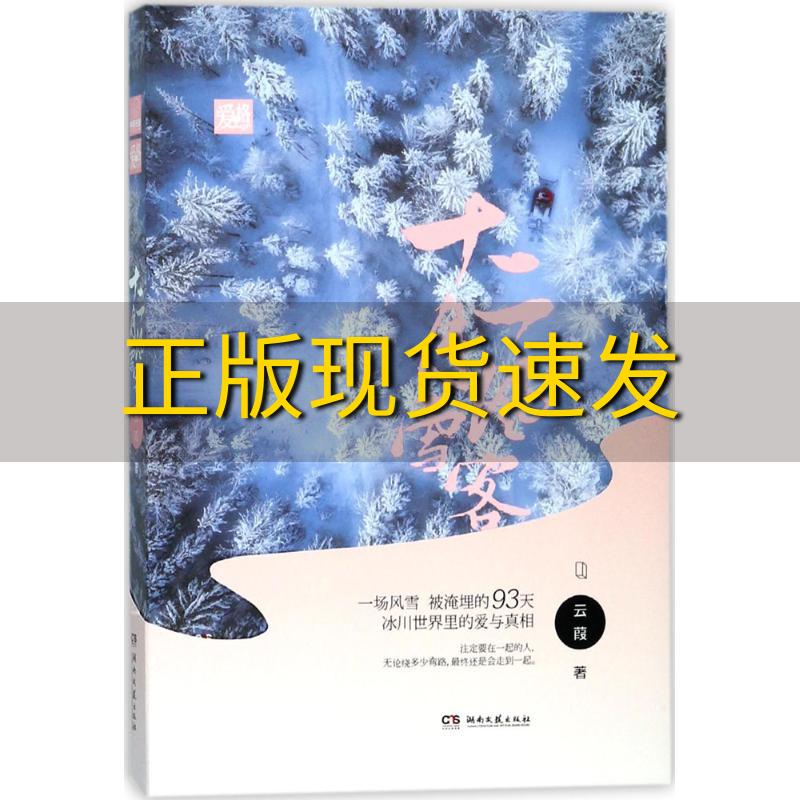 【正版书包邮】十二月风雪客云葭云葭湖南文艺出版社