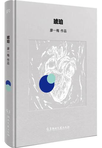 琥珀廖一梅著湖南文艺出版社