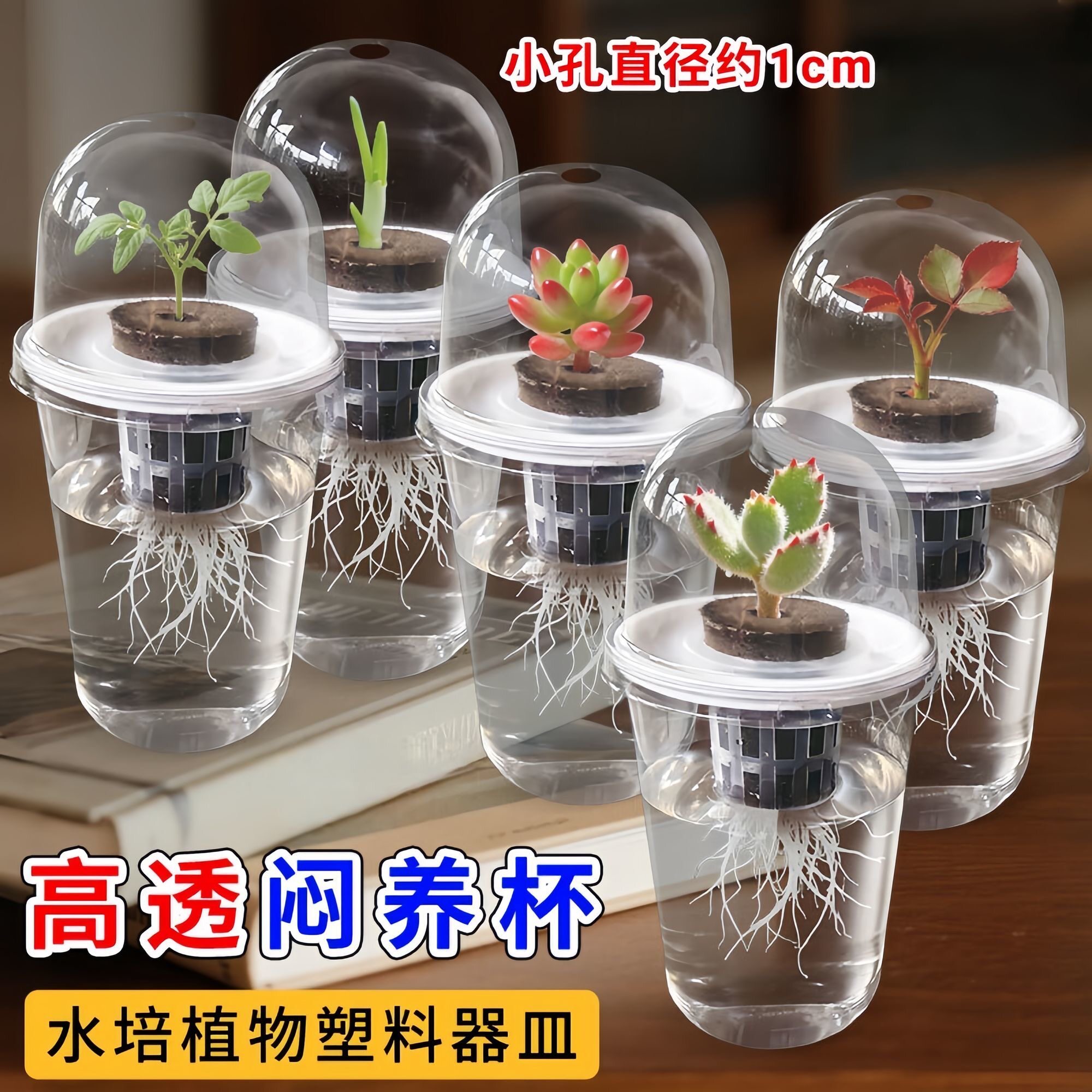 高透明育苗杯闷养杯带盖花盆保温保湿闷养盒多肉兰花蝴蝶兰花盆