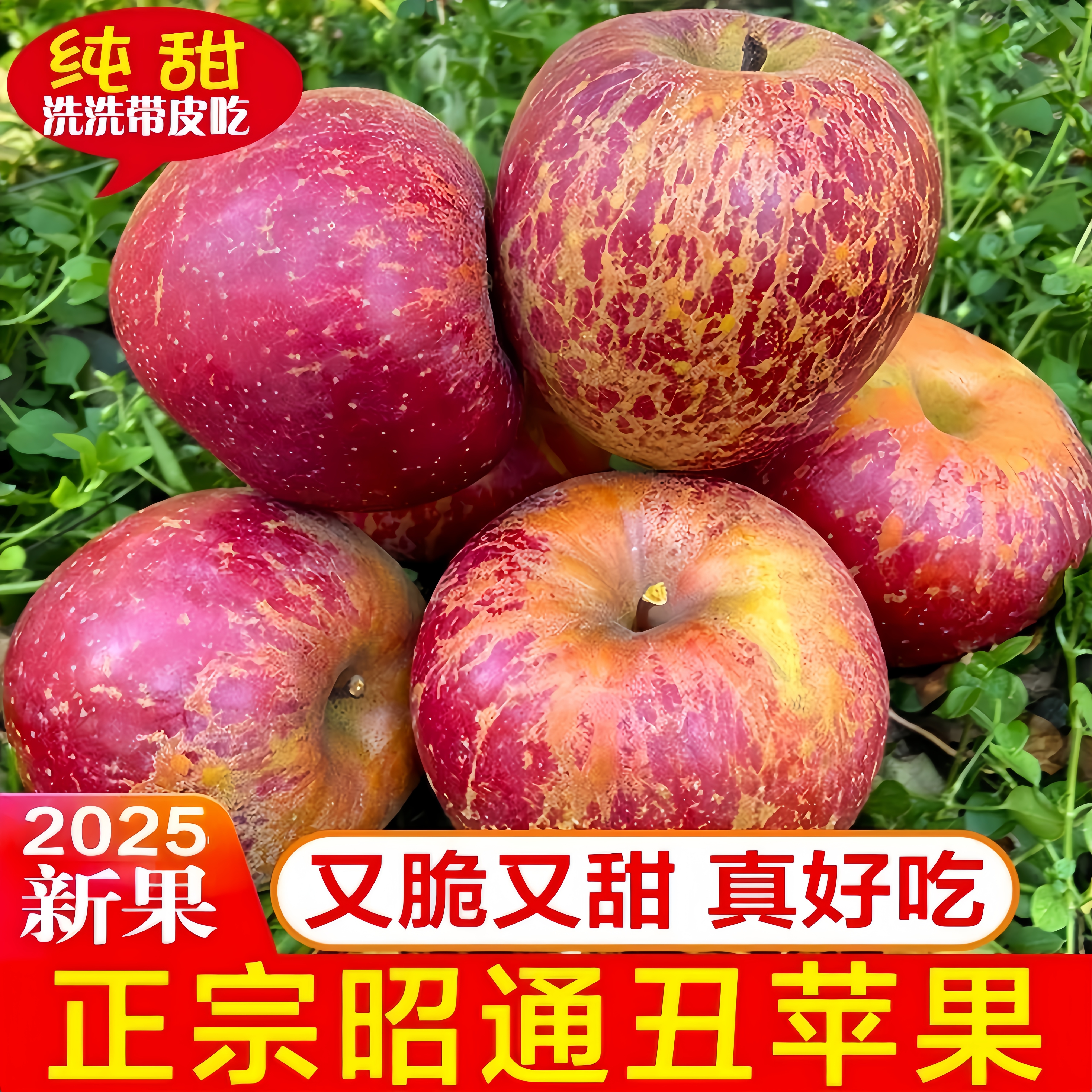 正宗云南昭通丑苹果冰糖心新鲜水果脆甜孕妇当季野生富士整箱包邮