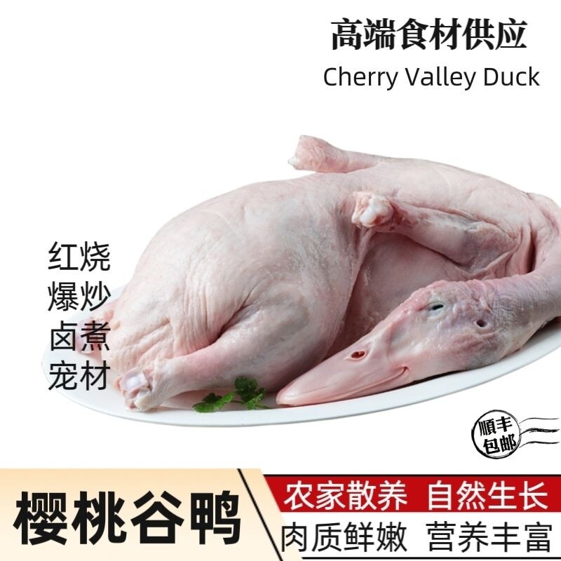 顺丰樱桃谷鸭白条鸭新鲜冷冻鸭子无内脏鸭子无爪无翅烤鸭整箱商用