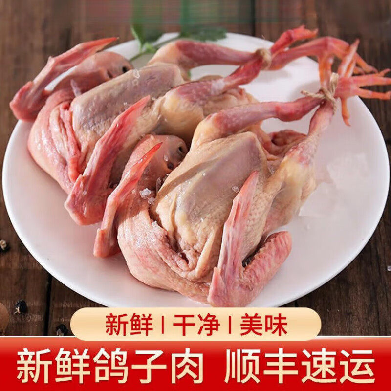 顺丰包邮鸽子肉新鲜现杀