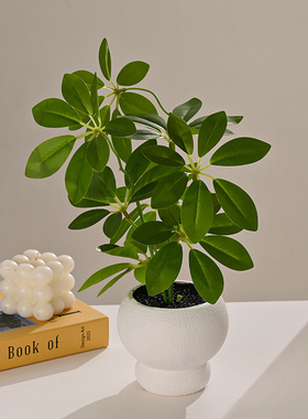 仿真植物小型盆栽摆件
