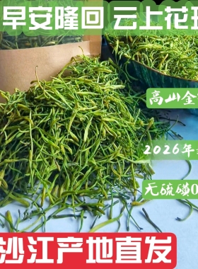 2026年新茶 隆回小沙江产地直供金银花茶山银花 熬夜降火解暑无硫