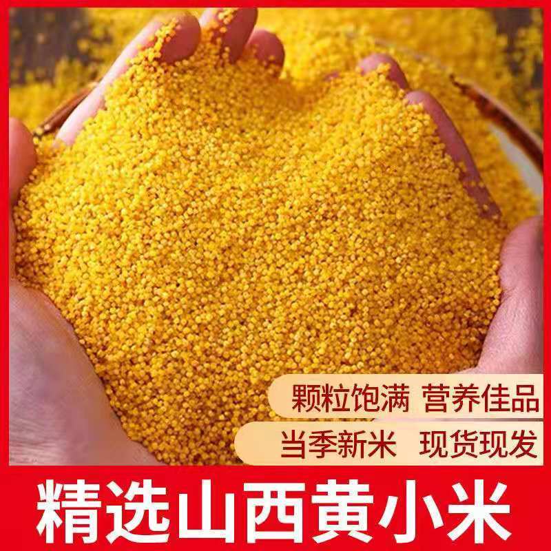 新货5斤山西黄小米新米月子米五谷杂粮米糯小米农家黄米当季新粮1