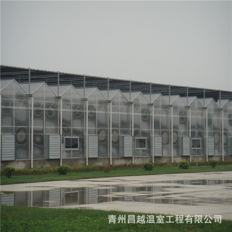 顶部开窗安装骨架建造阳光板温室工程生产安装温室骨架供应