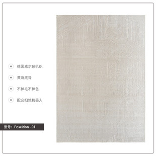 机织现代奶油风客厅地毯高端轻奢大宅标配法式混纺大面积耐脏地垫